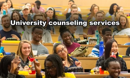 University counseling services