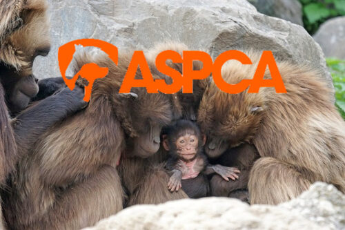 ASPCA Funding