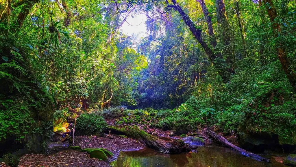 Khawnglung Wildlife Sanctuary