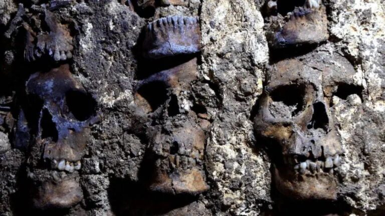 Unearthed Aztec Skull Tower: A Gruesome Yet Sacred Glimpse into Ancient Rituals