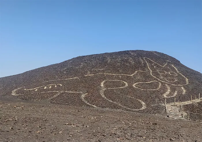 Ancient Feline Geoglyph Unearthed in Nazca Desert