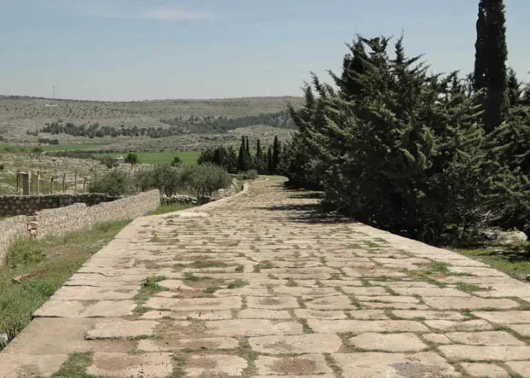The Roman Road from Antakya to Aleppo: A Testament to Ancient Engineering Excellence