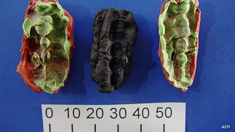 Ancient Chewing Gum Unearthed in Sweden