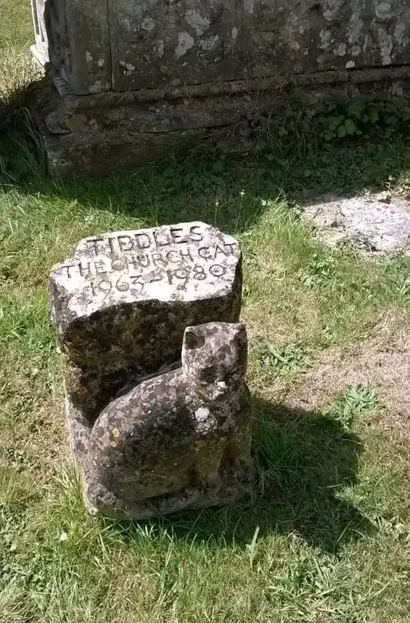 Tiddles the Church Cat