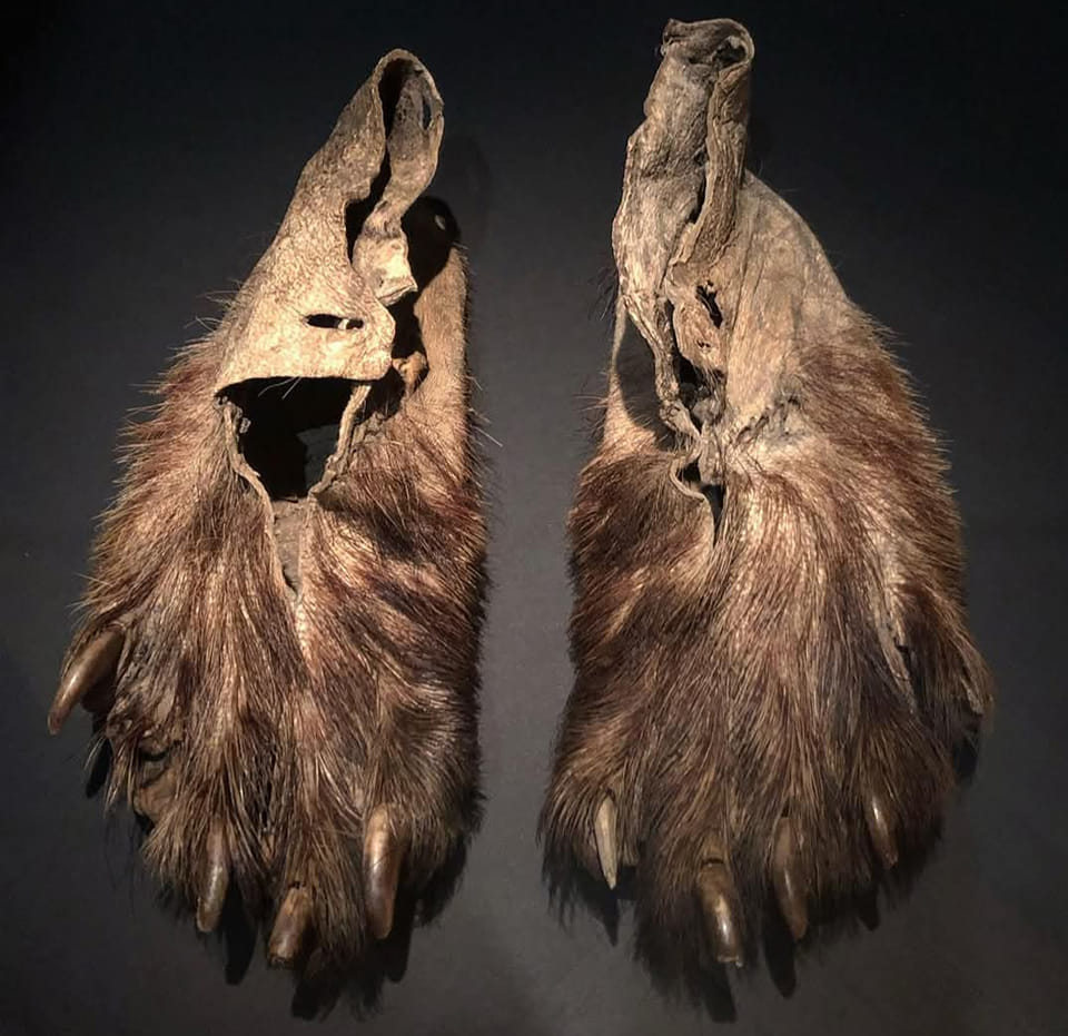 Choctaw bear paw moccasins