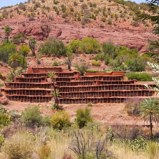 Inzerki Apiary Morocco