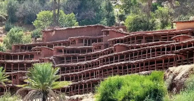 Inzerki Apiary Morocco