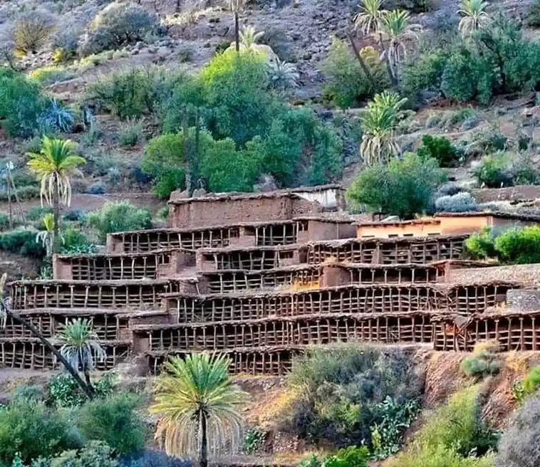 Inzerki Apiary Morocco