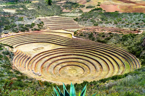 Moray agricultural terraces