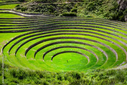 Moray agricultural terraces