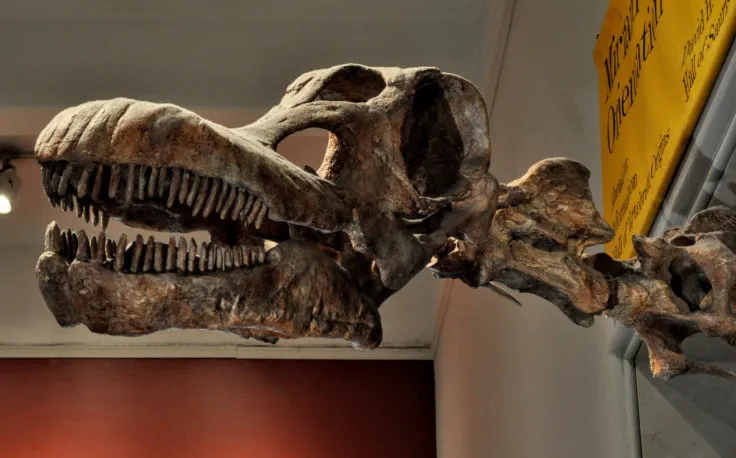 Patagotitan mayorum femur cast