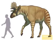 Sivatherium giganteum