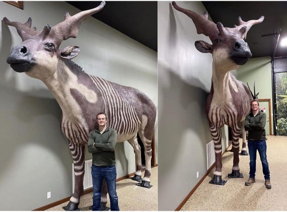 Sivatherium giganteum