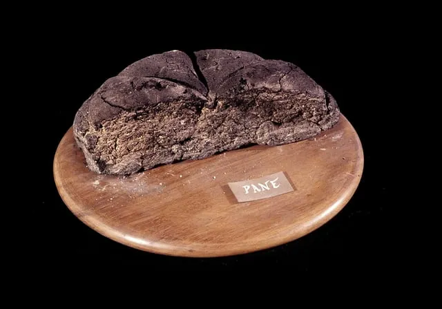 carbonised bread from Pompeii