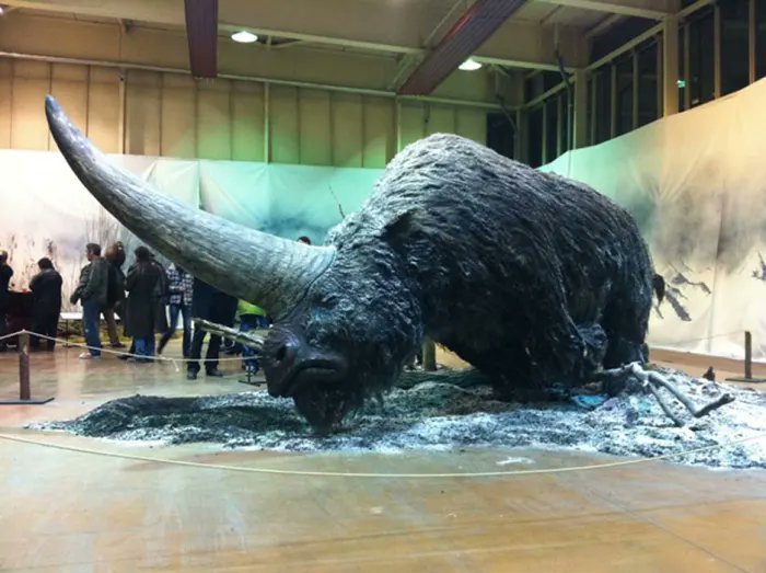 Siberian Unicorn Elasmotherium