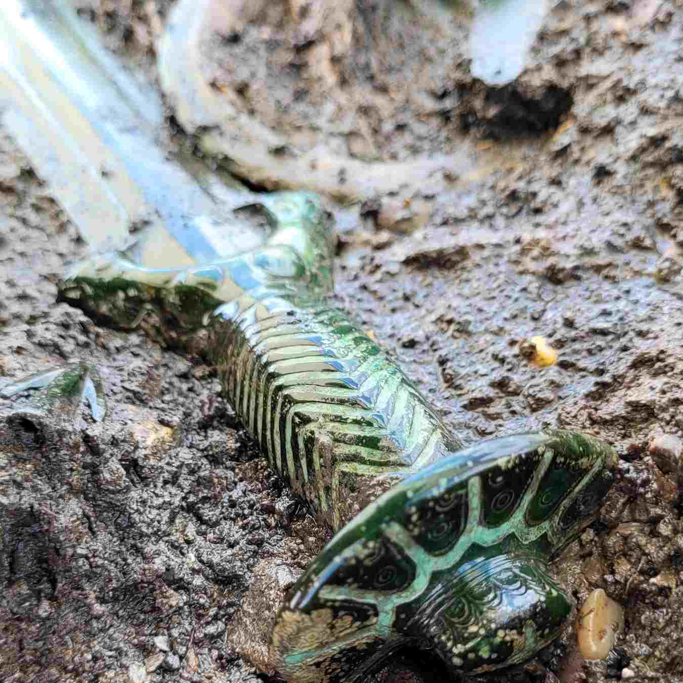 Bronze Age sword Germany
