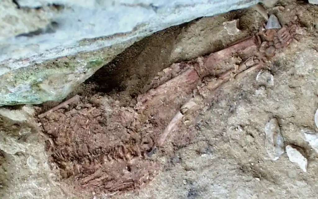 Lapedo Child radiocarbon dating