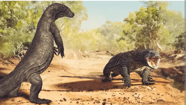 Megalania — giant prehistoric monitor lizard
