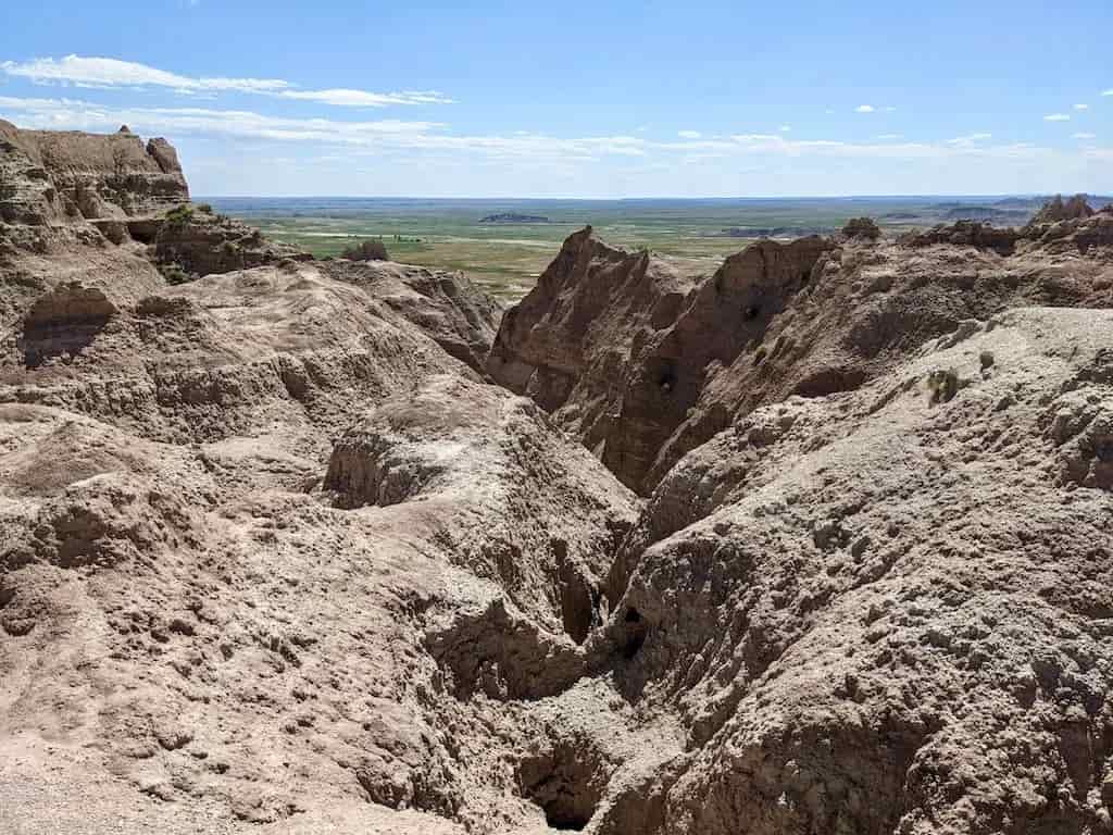 Mummified Tyrannosaurus Rex Discovery