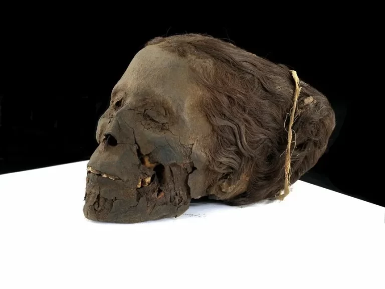 Mummified head of a woman Egypt