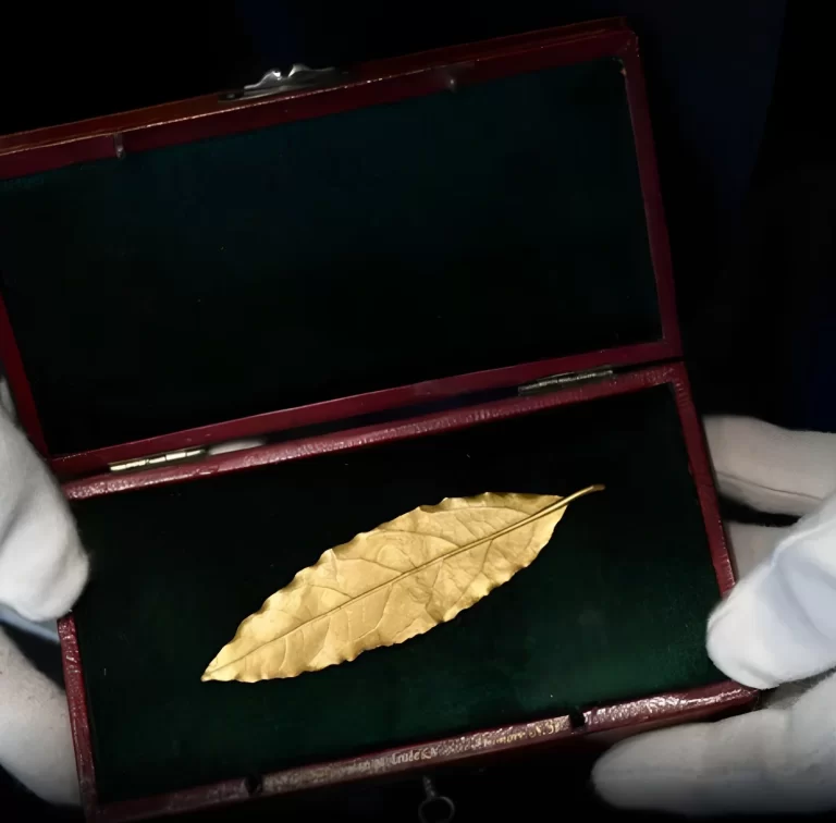 Napoleon coronation crown golden leaf