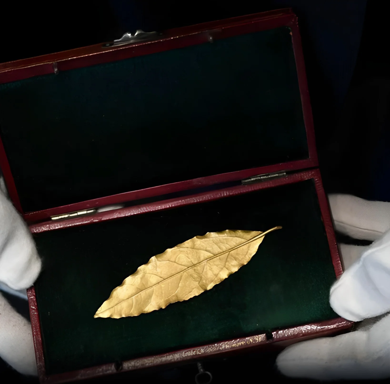 Napoleon coronation crown golden leaf