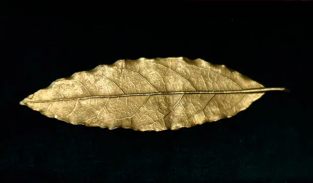 Napoleon coronation crown golden leaf