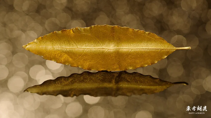 Napoleon coronation crown golden leaf
