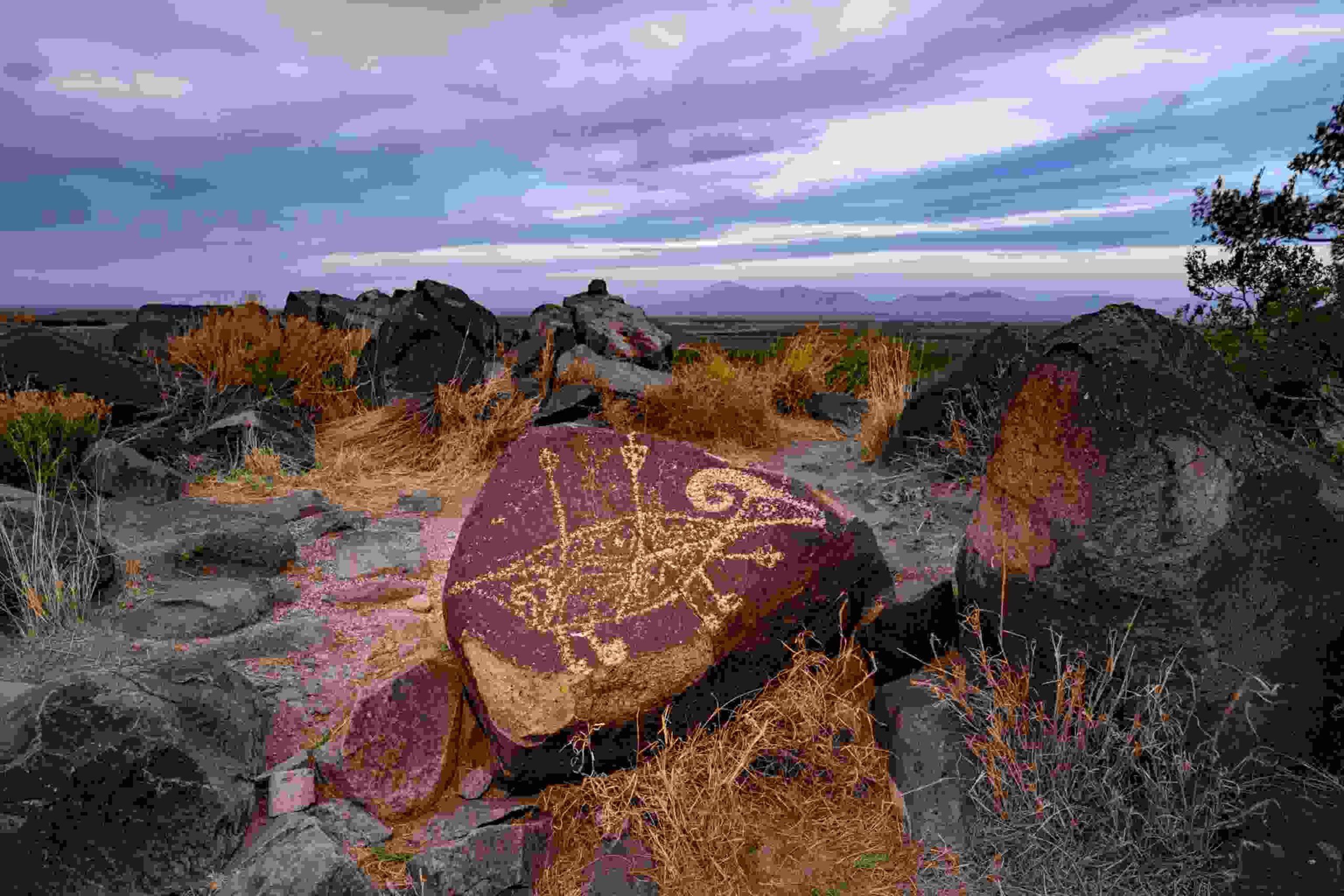 Newspaper Rock petroglyphs