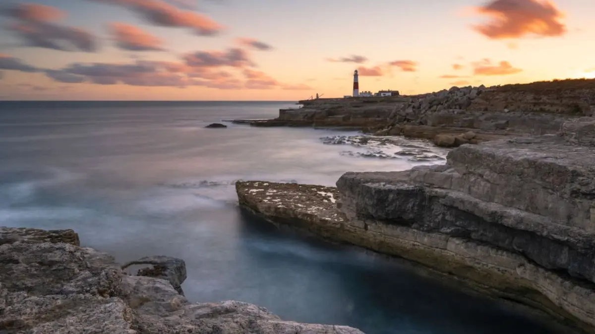 Pliosaur skull discovery Dorset