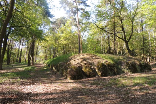 Polish Pyramids Wietrzychowice