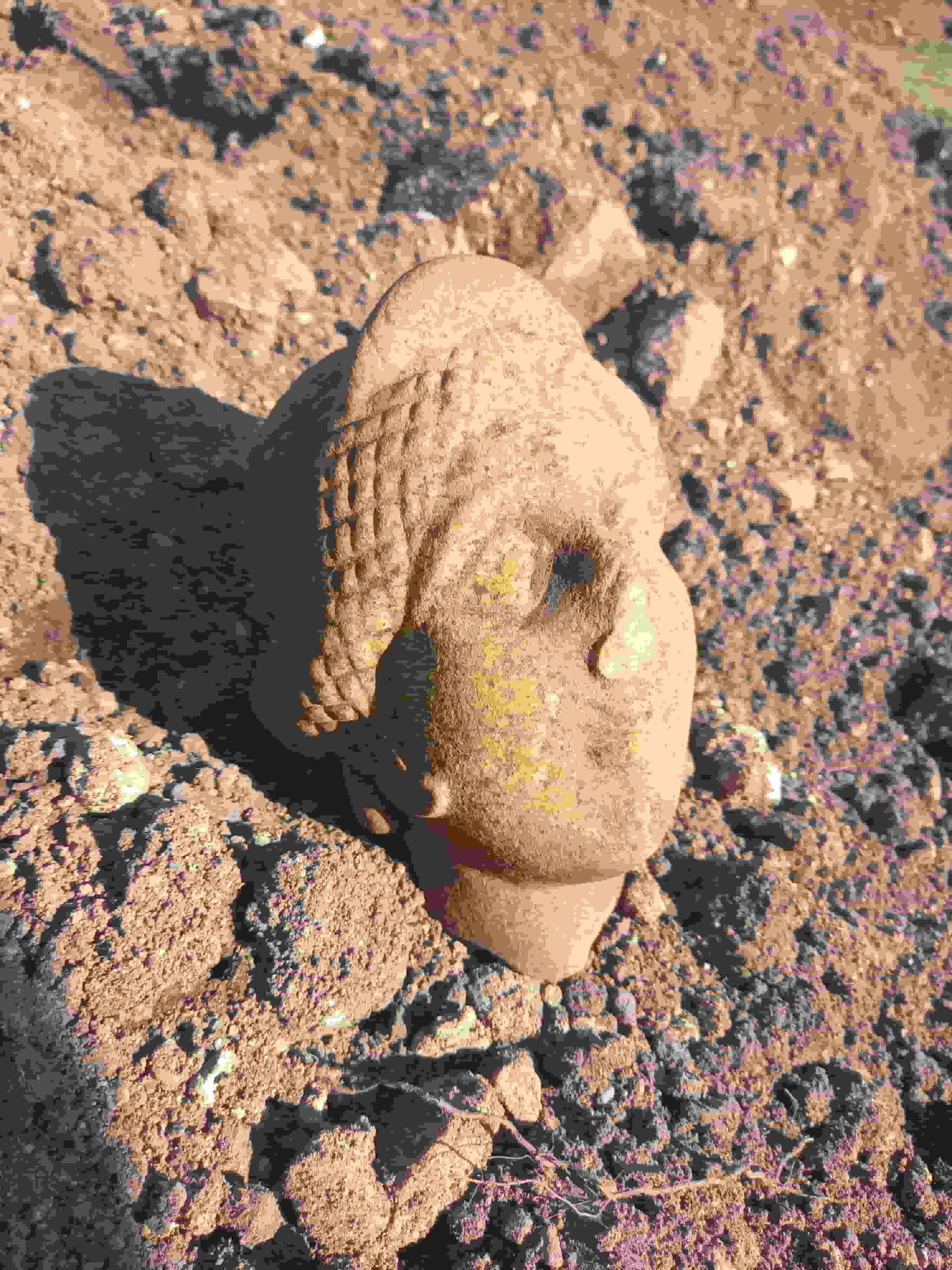 Roman Carlisle bathhouse