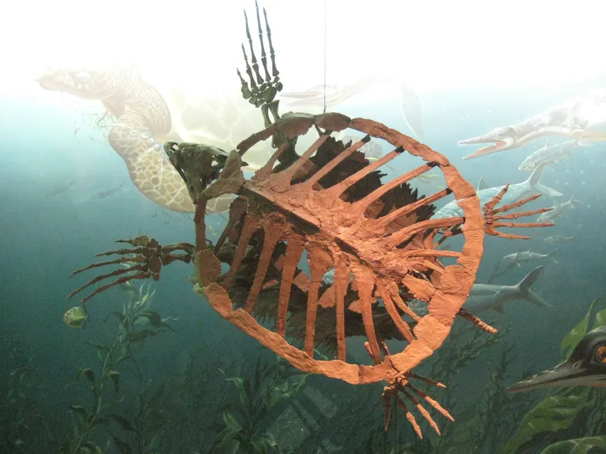 Stupendemys geographicus — giant prehistoric turtle