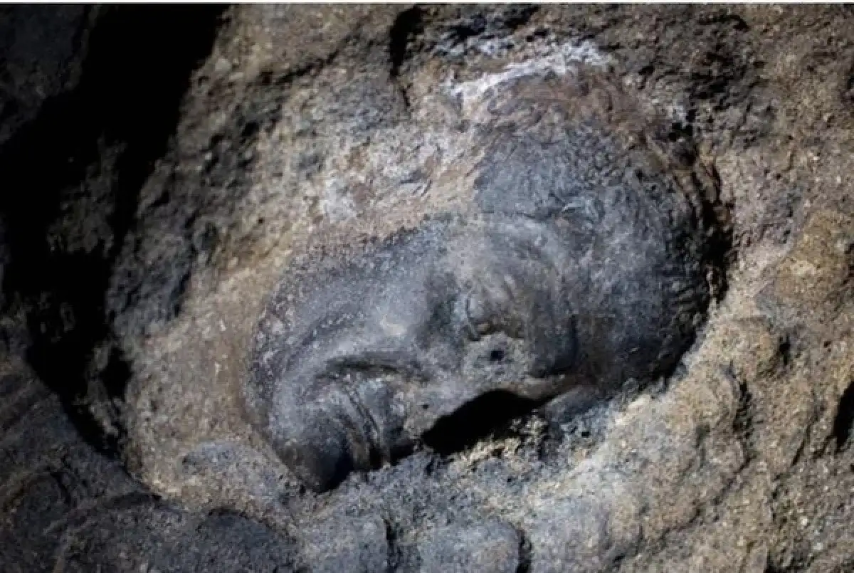 The Face in the Ash Pompeii