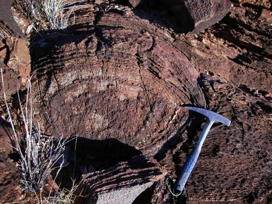 Tumbiana Formation ripple fossils