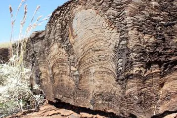 Tumbiana Formation ripple fossils