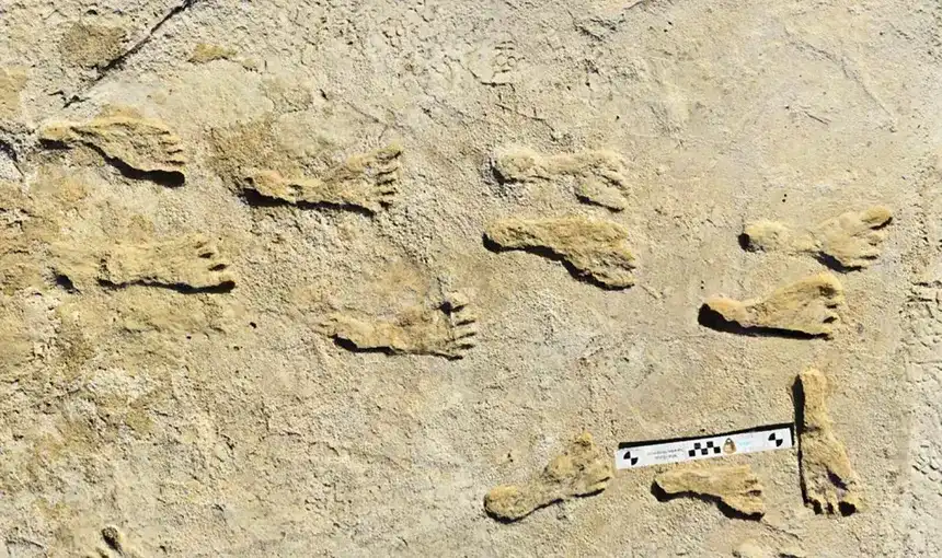 White Sands travois evidence