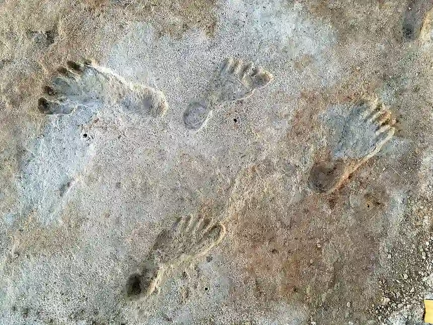 White Sands travois evidence