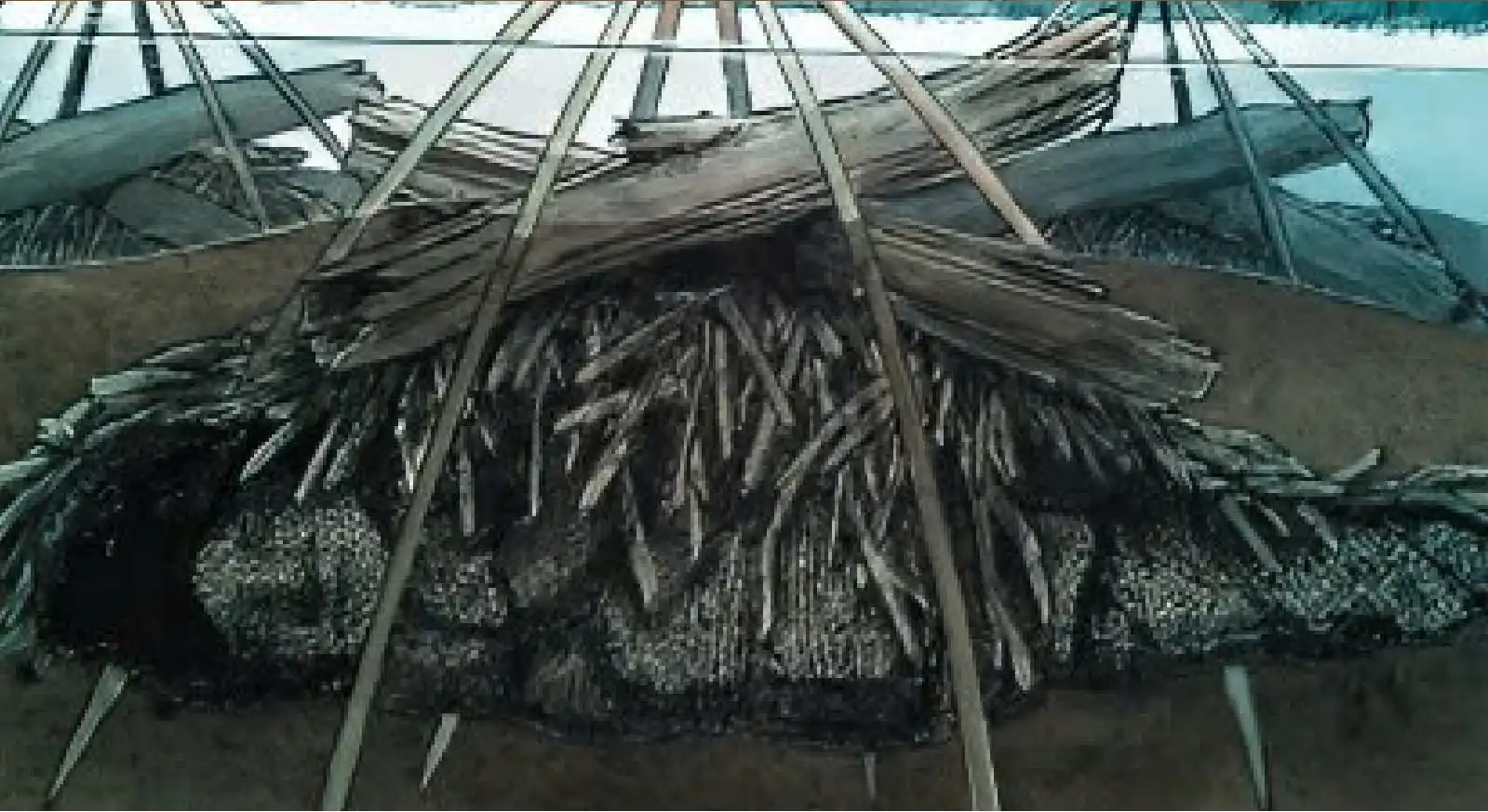 Windover archaeological site Florida