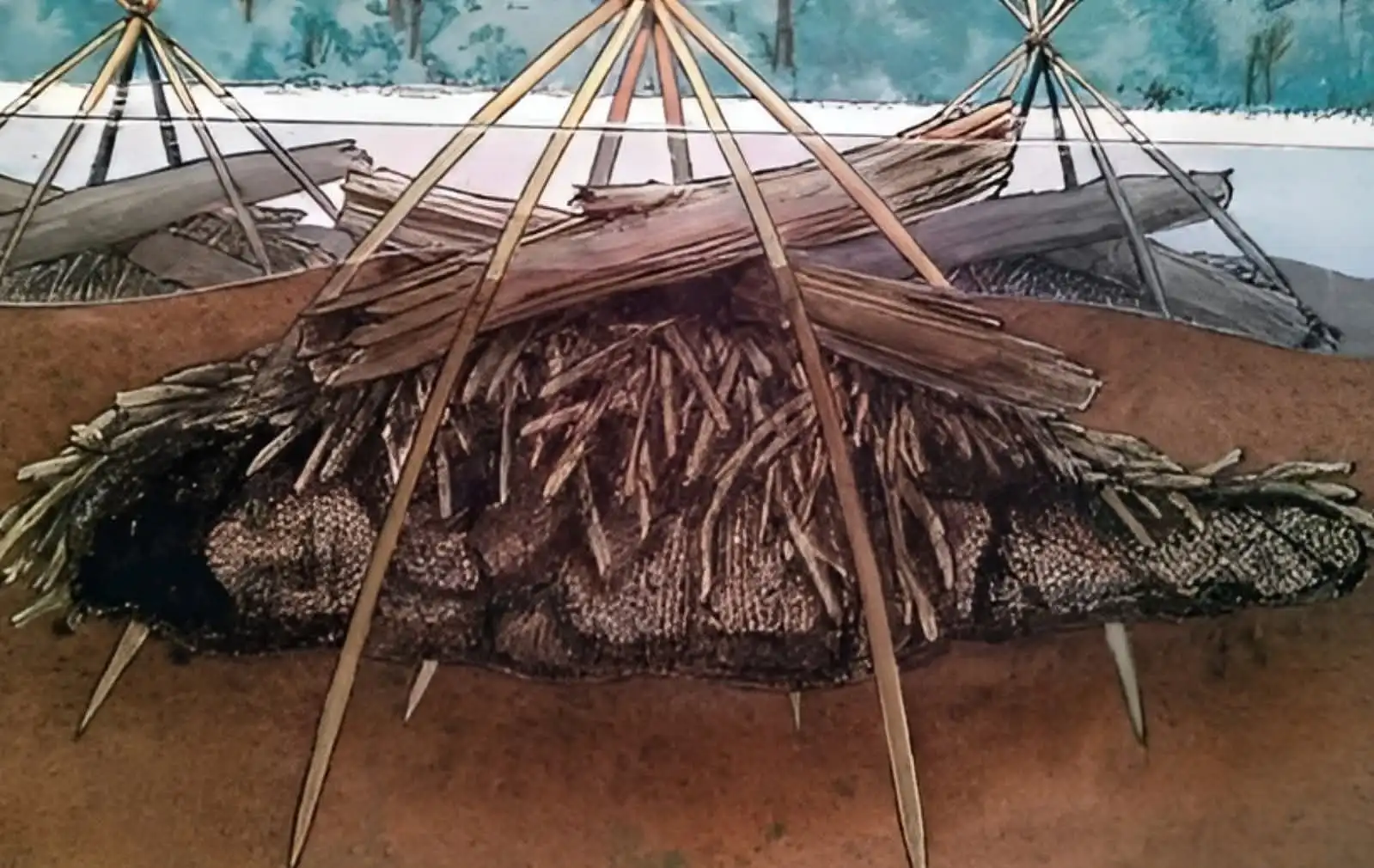 Windover archaeological site Florida