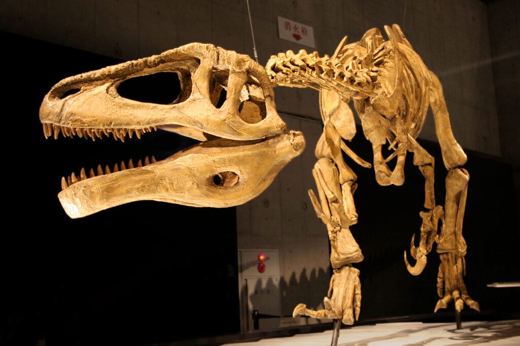 megaraptor crocodile fossil discovery