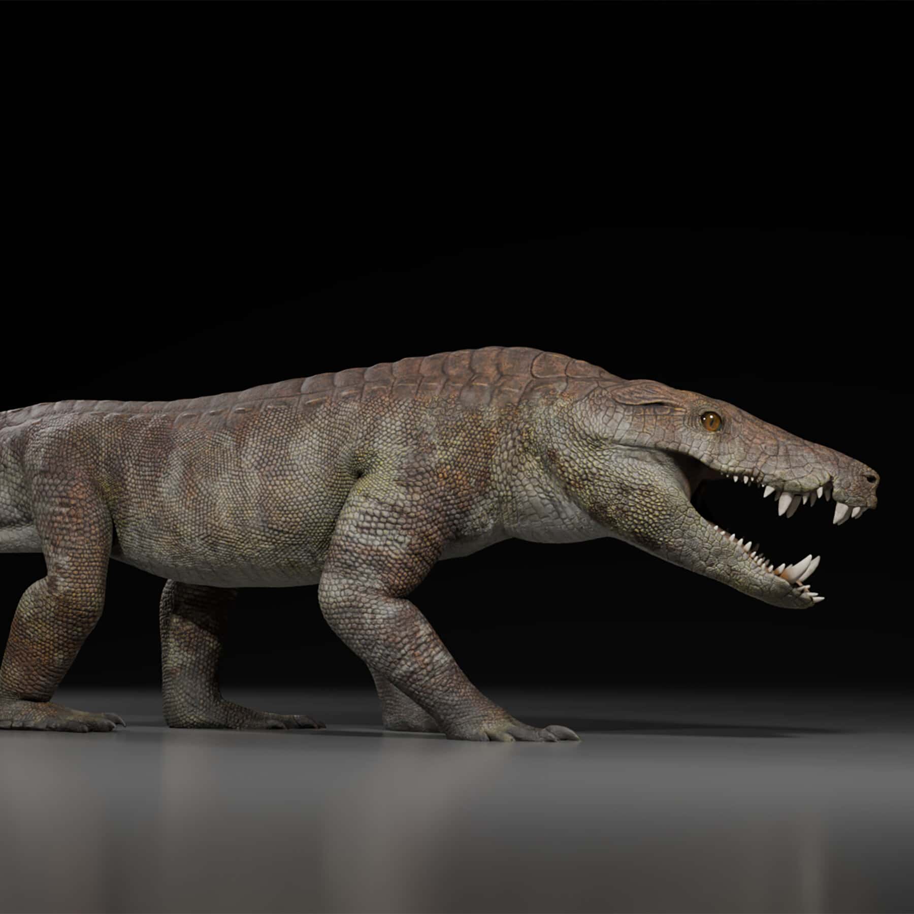 megaraptor crocodile fossil discovery