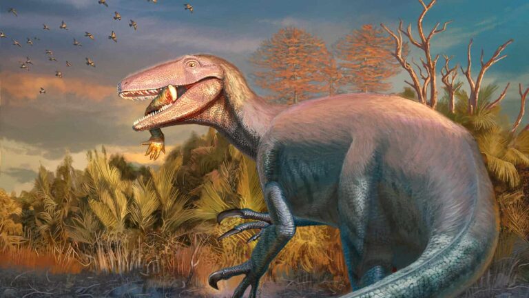 megaraptor crocodile fossil discovery