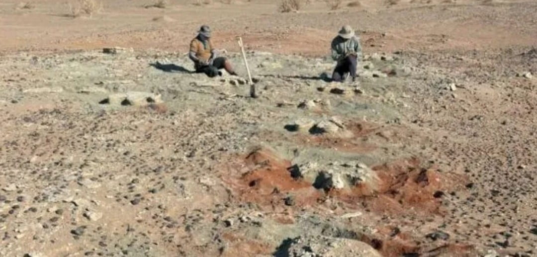 prehistoric giant fossil discovery