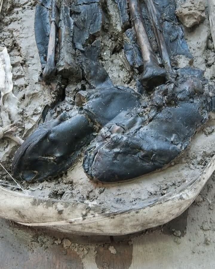 Altai Iron Age burial