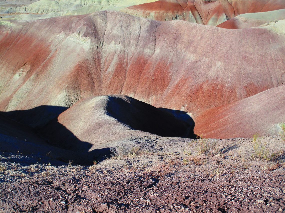 Desert Labyrinth Tucson