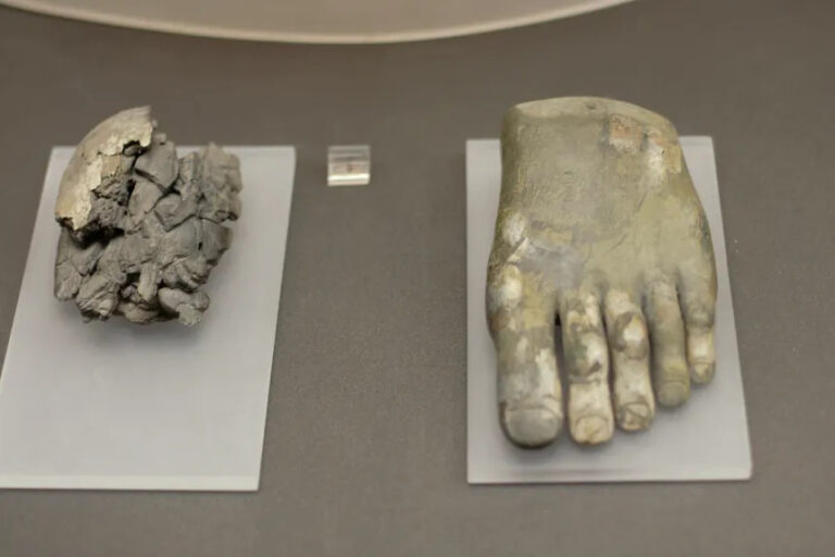 Ivory Head of Apollo