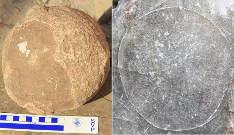Titanosaur Dinosaur Egg Fossil Discovery