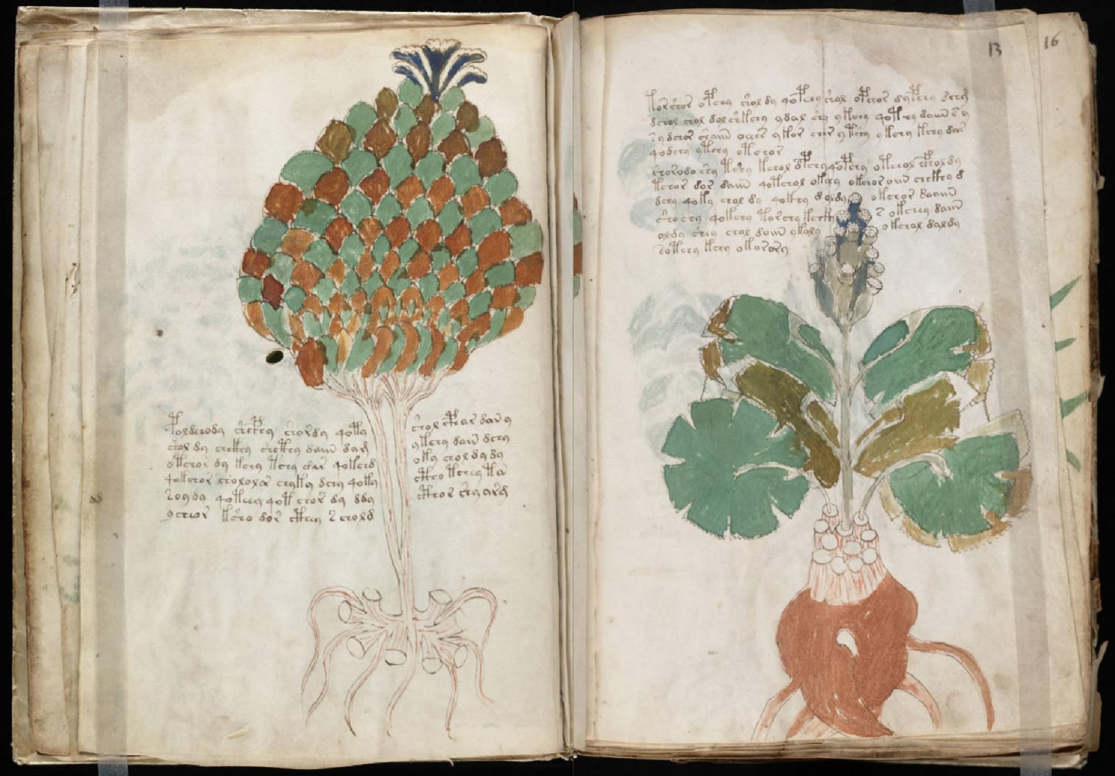 Voynich Manuscript mystery