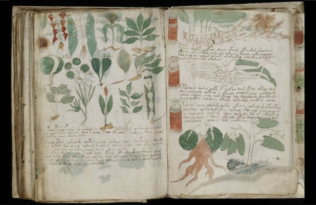 Voynich Manuscript mystery